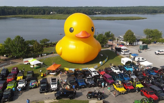 worlds largest duck near cars