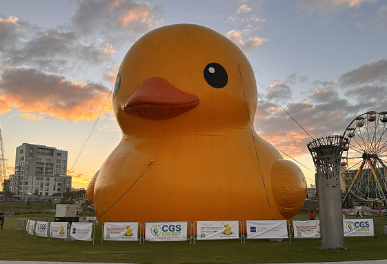 duck days