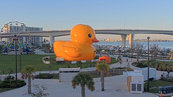 Mama Duck