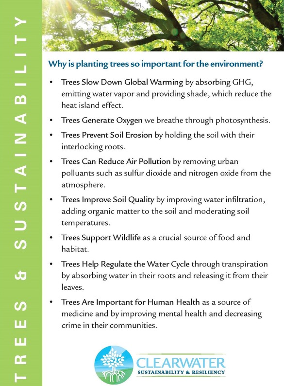 Trees & Sustainability 