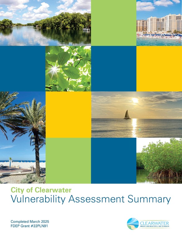 Vulnerability Assessment Summary