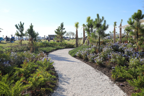 the green walk at coachman park