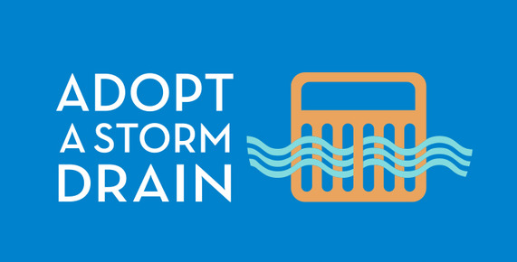 Adopt a Drain