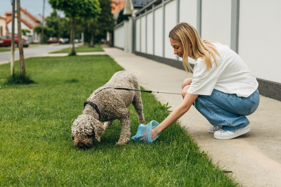 Woman picking up after dog