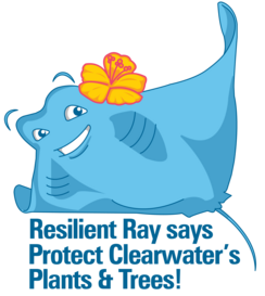 Resilient Ray Plants