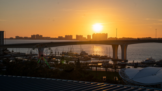 This is an image of Clearwater Harbor during a sunset