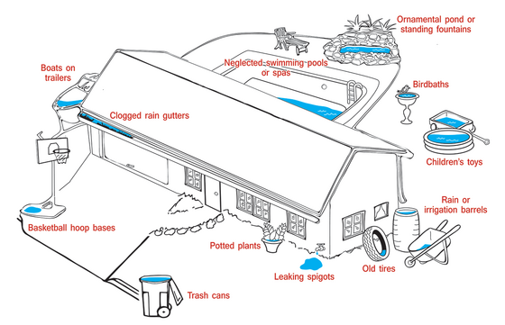 Mosquito breeding zones