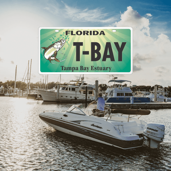 Tarpon Tag