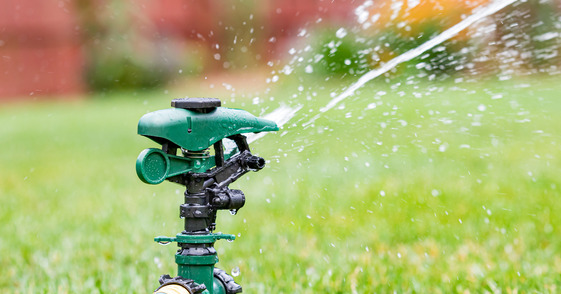 sprinkler