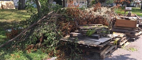 debris collection