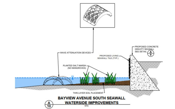 Living Seawall Diagram