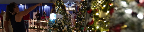 Festival of Trees