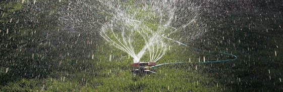watering sprinkler