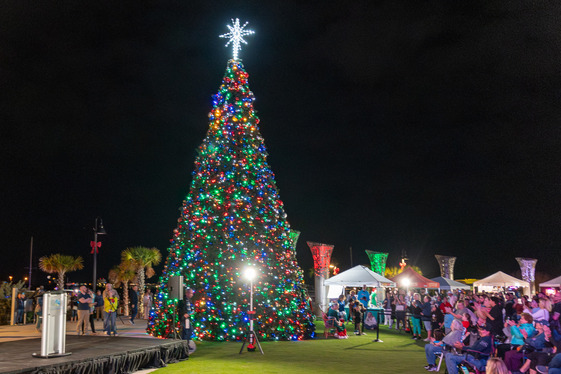 Tree Lighting