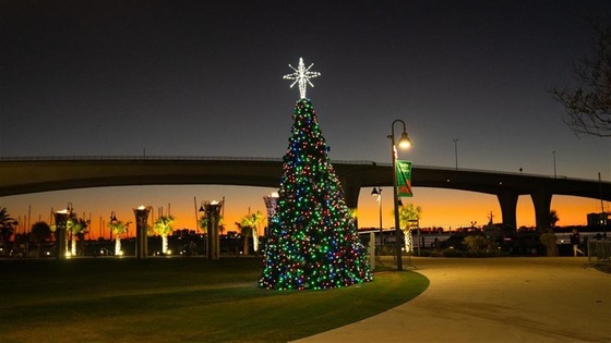 Tree at night