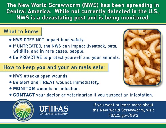 NWS Infographic
