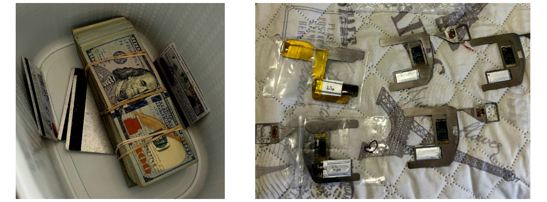 skimmer bust collage