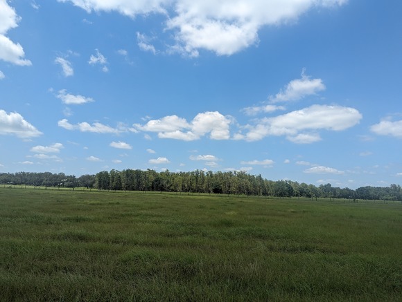 D.T. Davis Ranch, Hardee County, Florida
