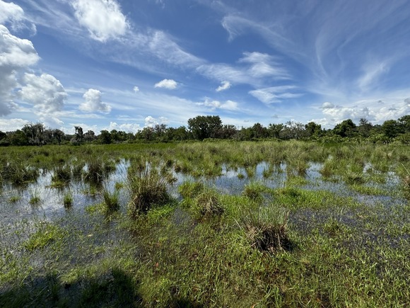 Micco Bluff Ranch, Okeechobee County, Florida