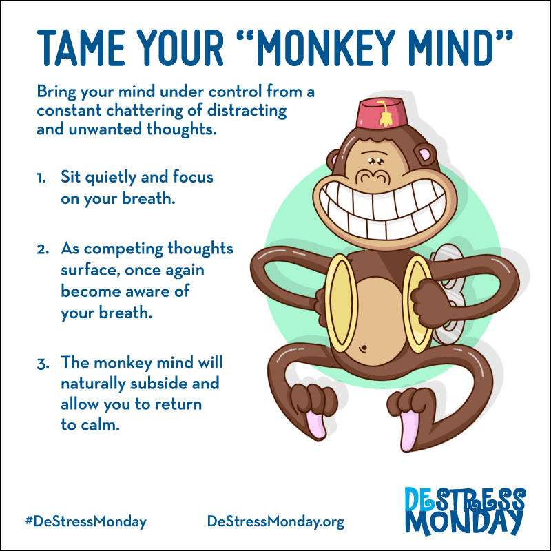 Tame your monkey mind