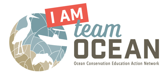 Team OCEAN