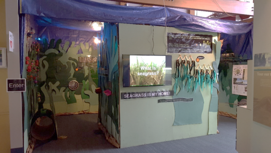 Seagrass Exhibit