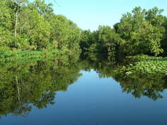 Little Manatee River