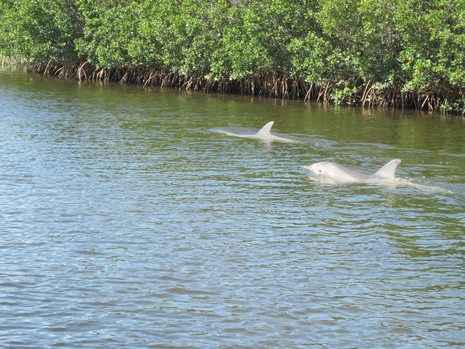St. Martins Marsh Aquatic Preserve