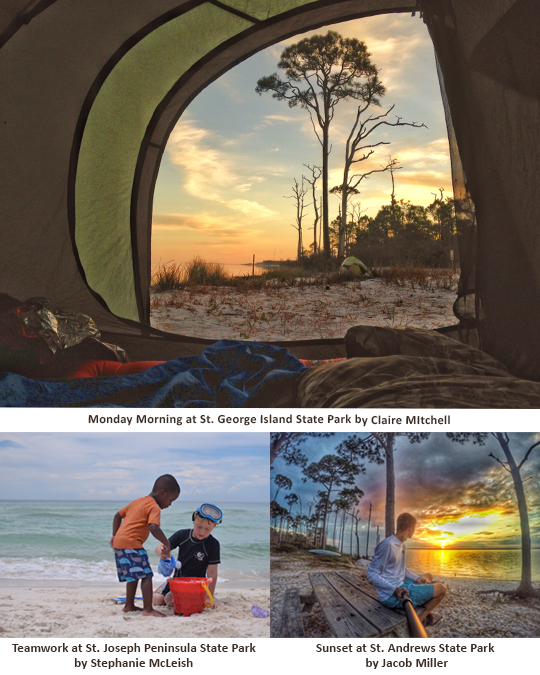 FLORIDA STATE PARKS ANNOUNCES WINNERS OF PHOTO CONTEST