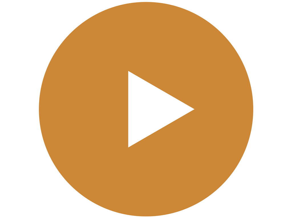 Watch now Firsthand Florida Fun