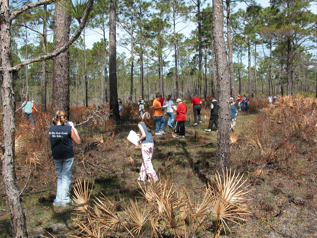 Family Challenge Saturdays at Topsail Hill 