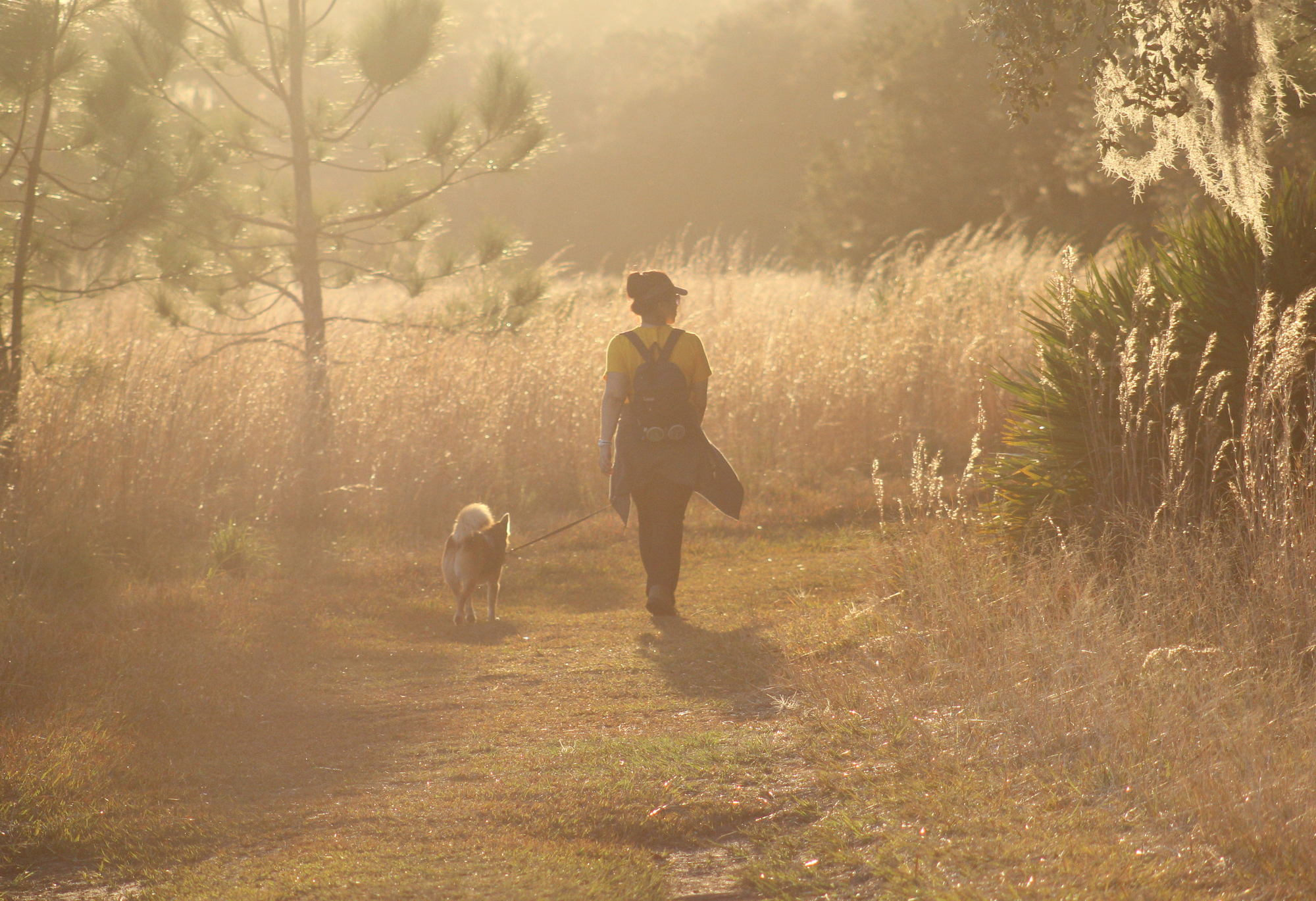 Jump start your heart with Florida State Parks