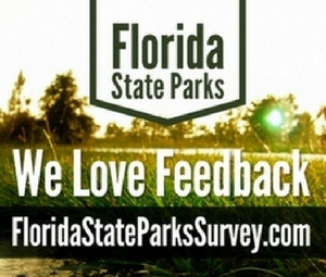 Visitor Satisfaction Survey