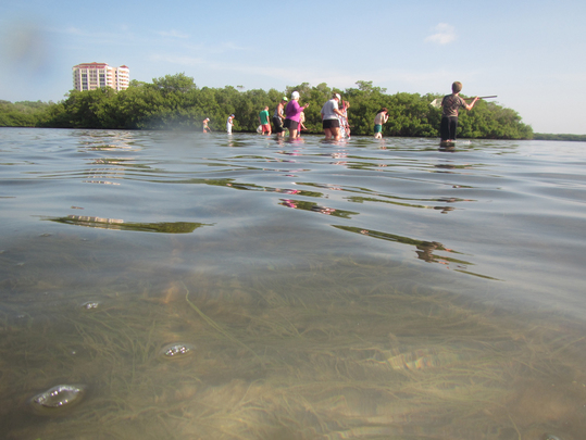 Estero Bay wading