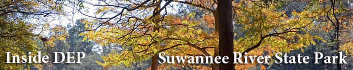 2017 Inside DEP Fall Banner