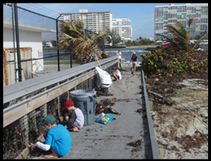 State Park Cleanup Crew