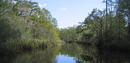 Box-R Wildlife Management Area