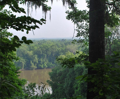 A view of the river from the bluffs at Torreya State Park