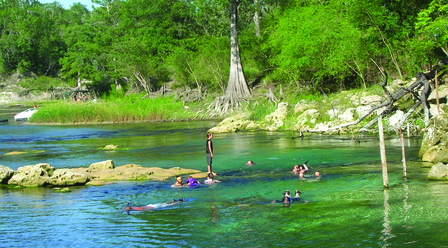 Florida's Troy Spring State Park