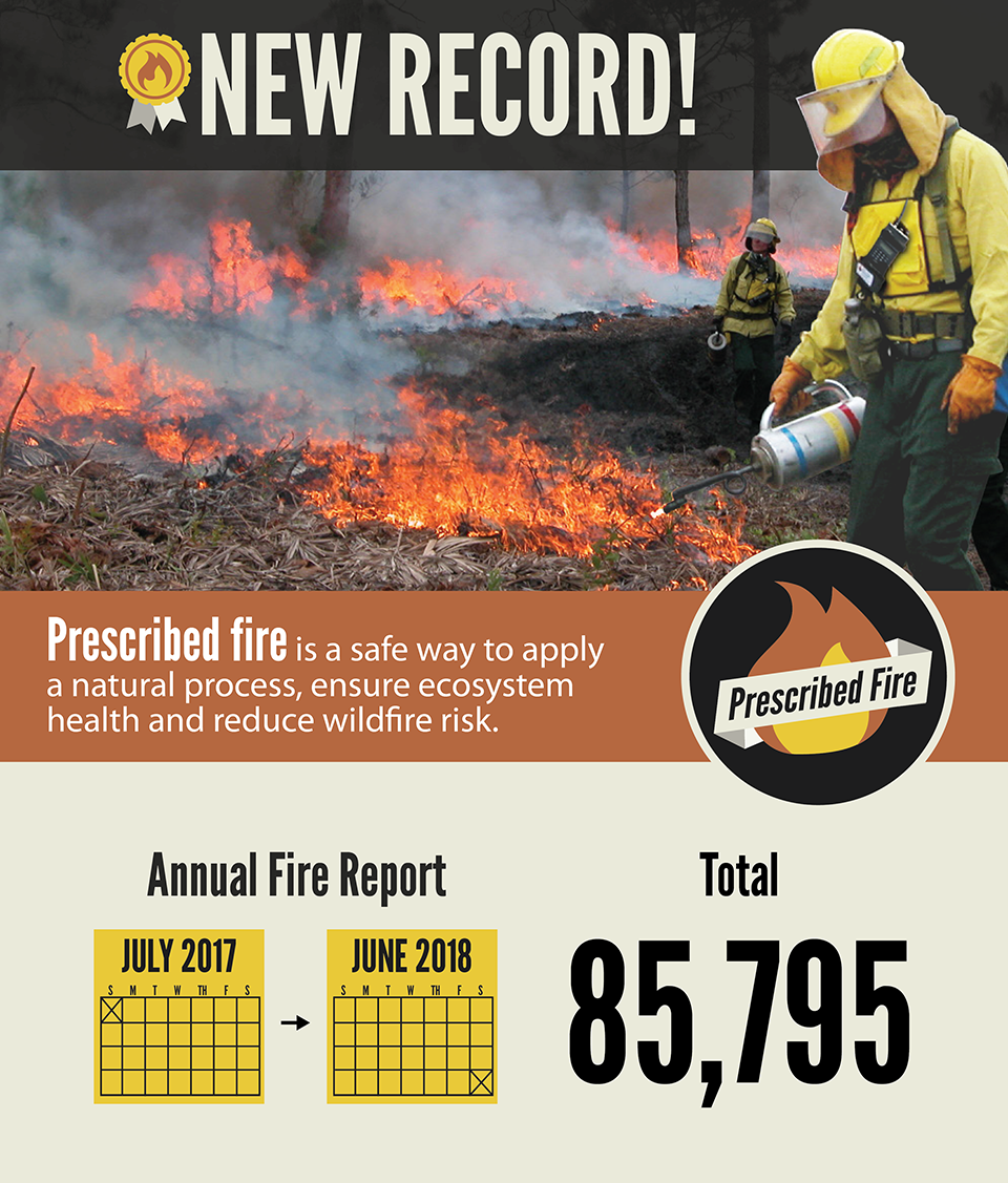Prescribed fire is a safe way to ensure ecosystem health and reduce wildfire risk. From July 2017 to June 2018 FPS burned a record 85,769 acres.