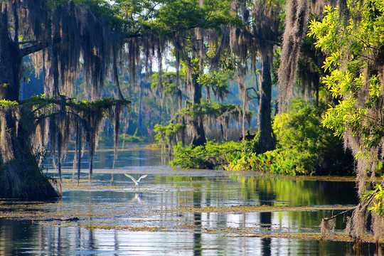 FGS - Wakulla Designation