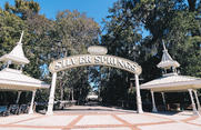 Silver Springs