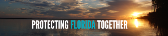 Protecting Florida