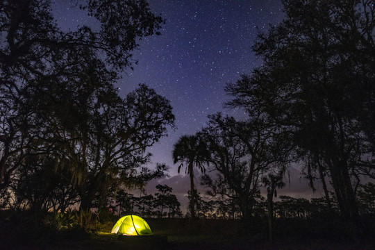 Jonathan Crossman’s photo titled “Camping Under Oaks and Stars” was taken at Myakka River State Park.