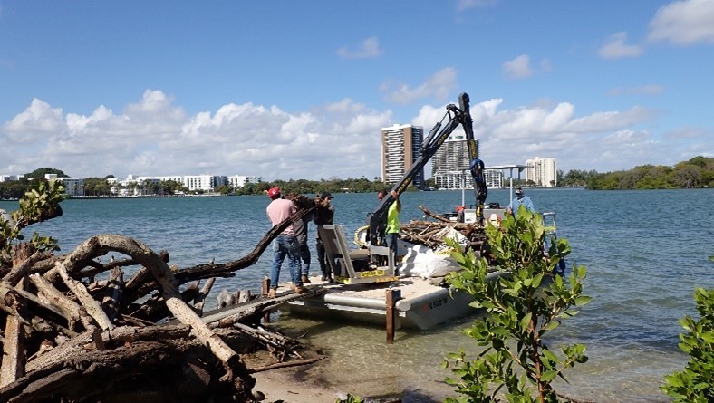 BBAP Marine Debris Clean Up