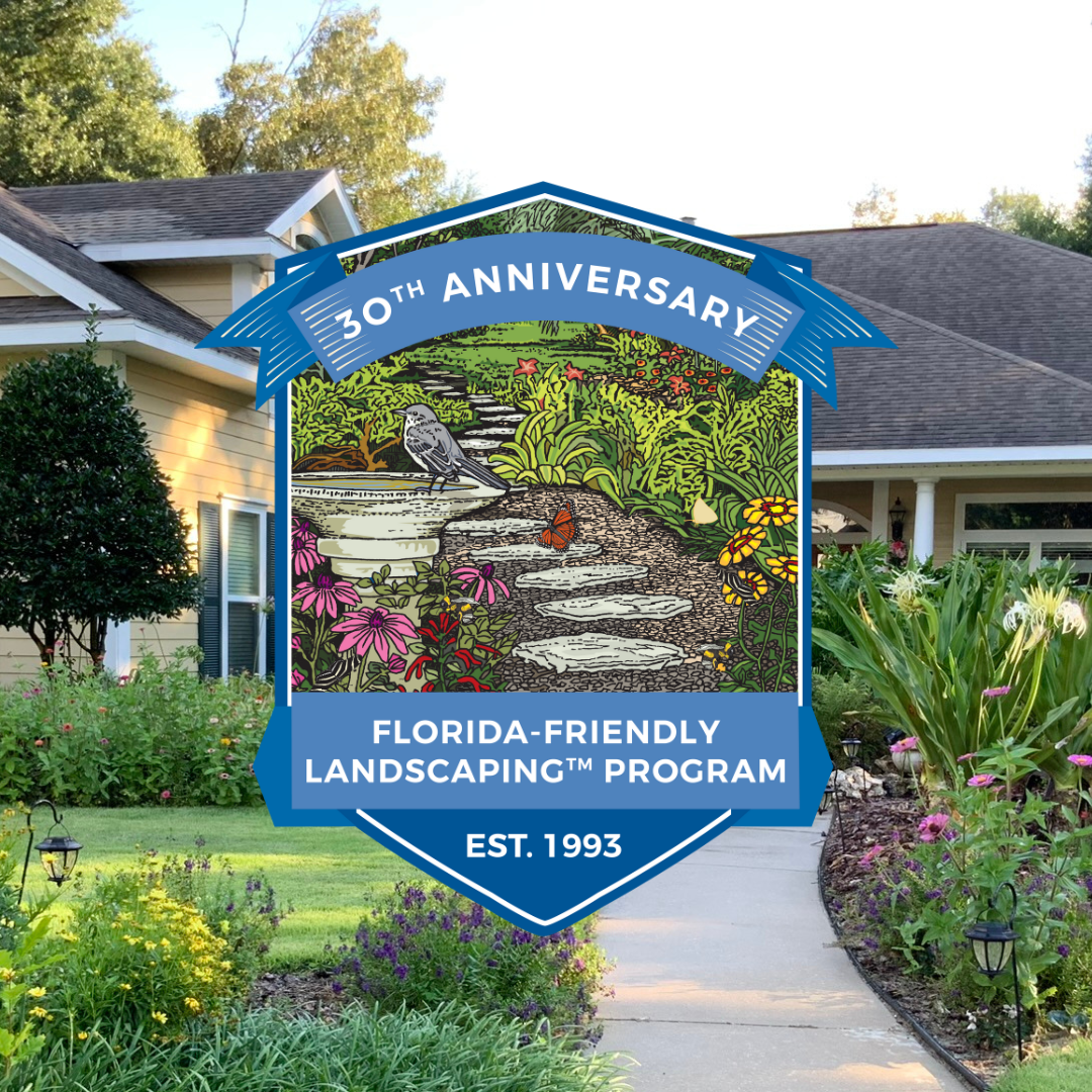 FFL 30th Anniversary Logo