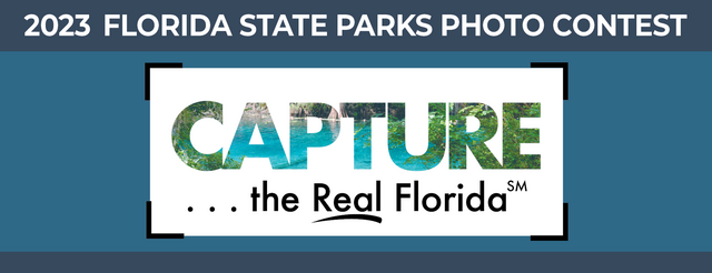 Capture the Real Florida