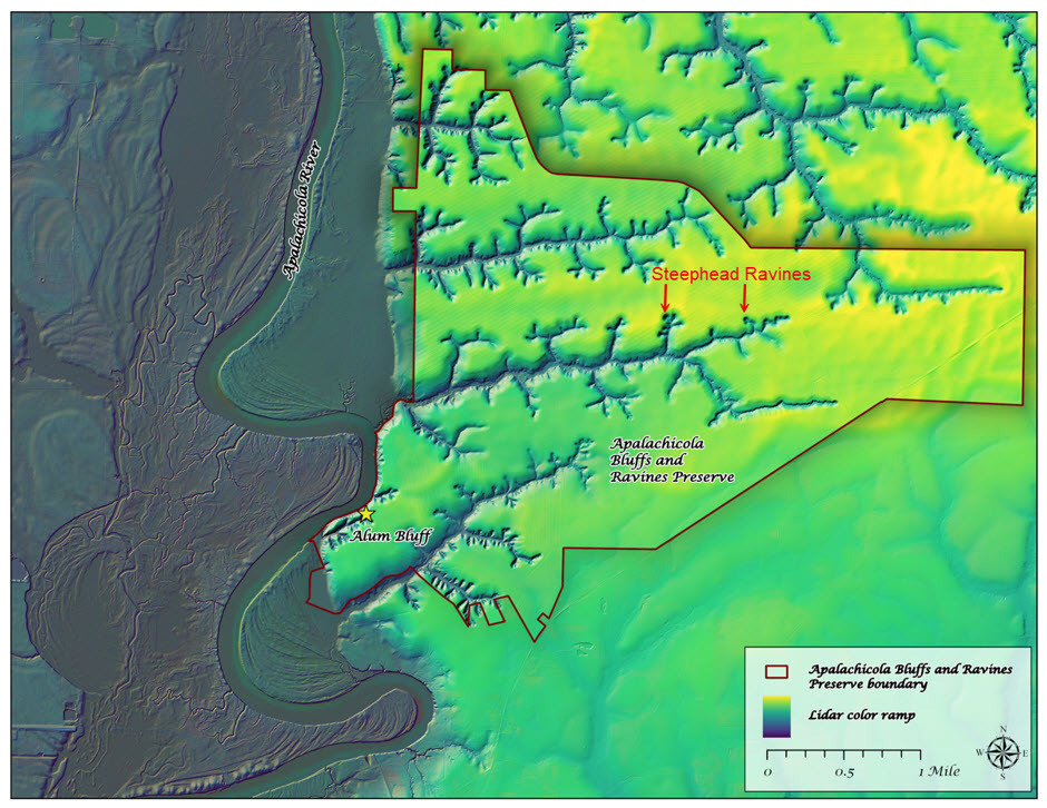 Figure 2. Lidar image showing the location of Alum Bluff.