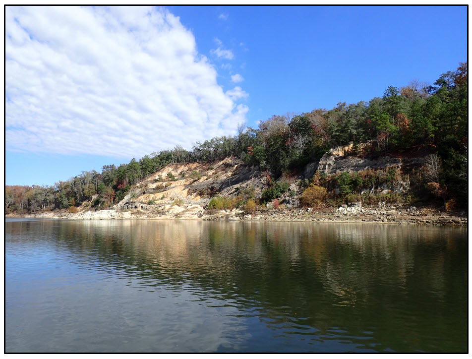 Figure 1. Alum Bluff on the Apalachicola River.
