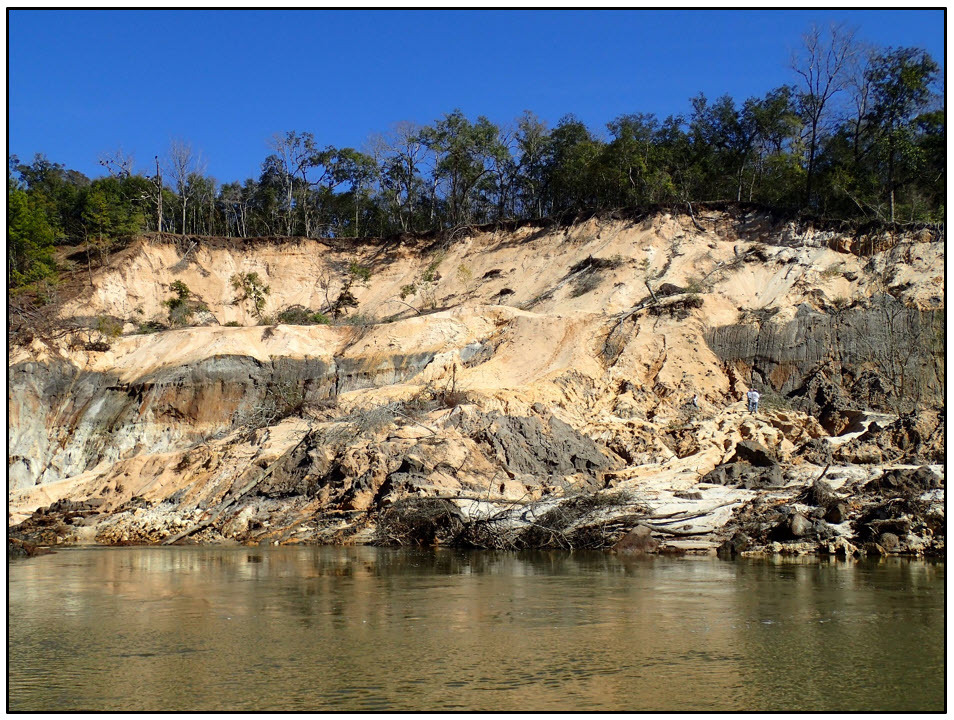 Figure 3. Landslide at Alum Bluff.